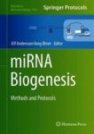 Mirna Biogenesis - Methods And Protocols Hardcover 1ST Ed. 2018