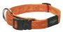 Rogz Alpinist Large 20MM K2 Dog Collar Different Colours