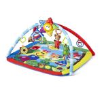Baby Einstein Caterpillar & Friends Play Gym