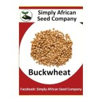 Buckwheat 15'S
