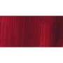 Jackson& 39 S Professional Oil Paint - Alizarin Crimson 225ML