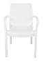 Addis Marilyn Patio Armchair White W82CMXD58CMXH55CM