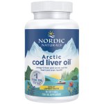Arctic Cod Liver Oil 90'S