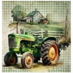 FSC2384 Printed Blanket Assorted