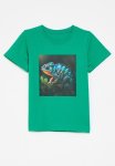 PoP Candy Printed Tee - Green