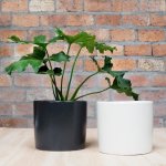 Cylinder Planter - 19CM Diameter Light Grey