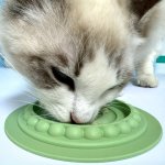 CAT Slow Feeder Mat - Anti-choke Pet Food Bowl For S Promotes Healthy Digestion & Reduces Bloating