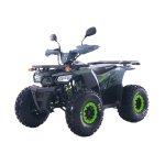 125CC Hunter Offroad Quad Bike Tao Motor + Remotes Blue For 12 Years + - Green