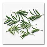 Leaves Square 2 Art Print - 100 X 100CM No Frame Print Only
