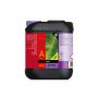Atari Bcuzz Coco 5L - Nutrient A - Plant Nutrients For Coco Peat