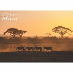 Disposable Placemats - Greeting Africa