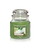 Yankee Candle Vanilla Lime Medium Jar Retail Box No Warranty Product Overview:about Medium Jar Candlesthe Traditional Design Of