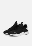 Puma Amare