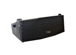 Dual 5" 300W Passiv Line Array Speaker