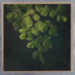 Dark Foliage Square 1 Art Print - 30 X 30CM Framed Canvas With Natural Wood Frame