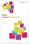 What Is Cultural Translation? Hardcover