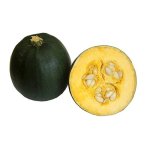 Veg Gem Squash Kg