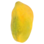 Papaya