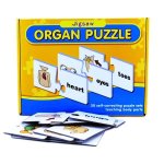 Organ Puzzle 30 Piece - Factory Plaza