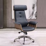 Modern Executive Ergonomic Office Chair With Recline & Height Adjustment
