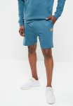 Men's Fleece Shorts - Blue