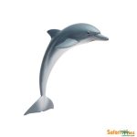 Sea Life Dolphin