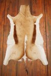 A Grade Springbok Hide - Black