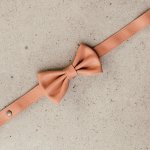 Bow Tie