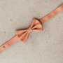 Bow Tie
