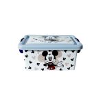 Mickey Mouse Disney Baby Age Box 3.7L
