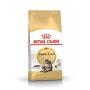 Royal Canin Maine Coon Adult Cat Food 4kg