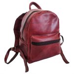 Small Genuine Leather Back Pack – Dumi & Jabu