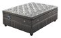 Sealy Posturepedic Belgro Medium Bed