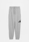 Adidas Performance J Bl Ft Pt Mgreyh - Grey