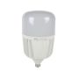 230VAC 100W Hi Power LED Lamp E40 6500K