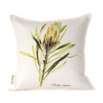 Protea Repens White Scatter Cushion