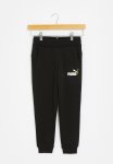 Puma Ess+ 2 Col Logo Pants Fl C B - Black