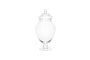 Glass Cookie Jar 15.8CM