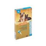 Dog - Medium 4 - 10KG