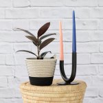 Rubber Tree - Abidjan - In Black & White Cotton Cord Planter