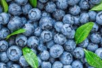 Blueberry Fruity Candy Concentrate - 10ML