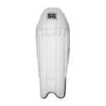 Ss Professional Wicket Keeper Pads - Youth