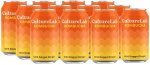 Wild Dagga & Ginger Kombucha X 12