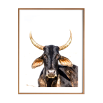 Nguni Black II Art Print - A4