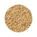 Sesame Seeds