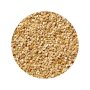 Sesame Seeds