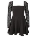 Black Lace Sleeve Skater Dress