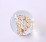 Gold & Clear Paper Weight 9CM