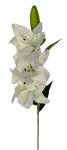 Lily 95CM - White