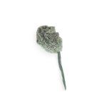 CAT Afp Toy Lambwool Wooly Mouse With Sound Chip - Grey